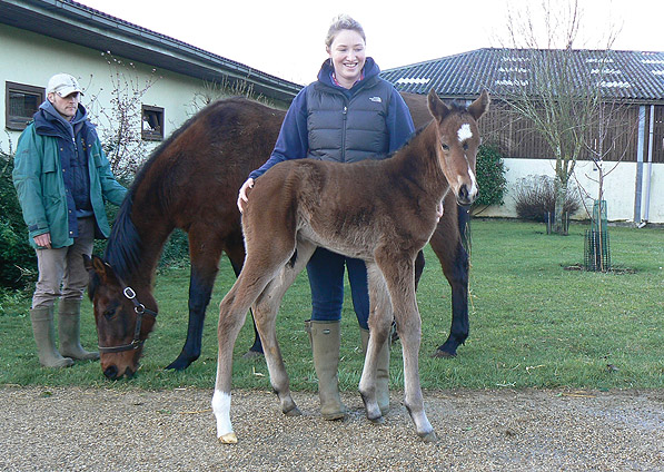  - Exceed And Excel ex Sister Act filly - January 2014 - 2