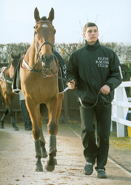  - Trompette at Plumpton - 13 February 2006