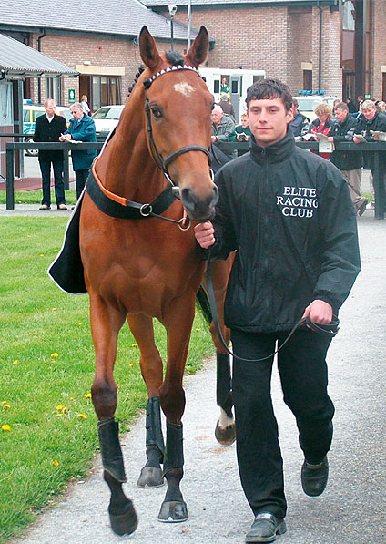  - Trompette at Punchestown - 26 April 2006