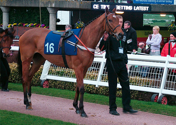  - Trompette at Cheltenham - 16 March 2007