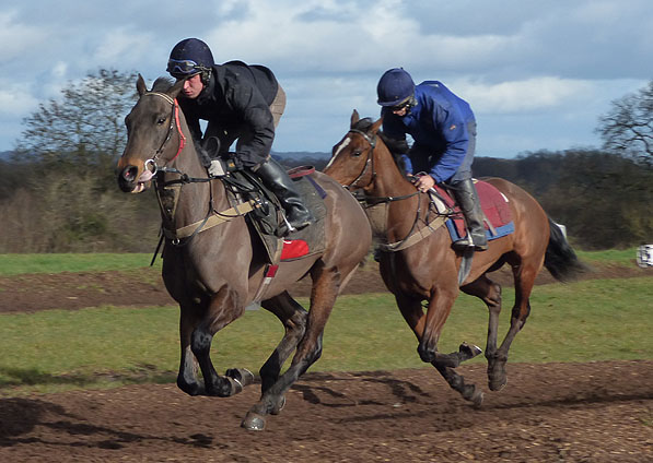  - Volcanic on the gallops - February 2014