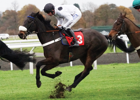  - Volcanic at Kempton - 27 November 2017