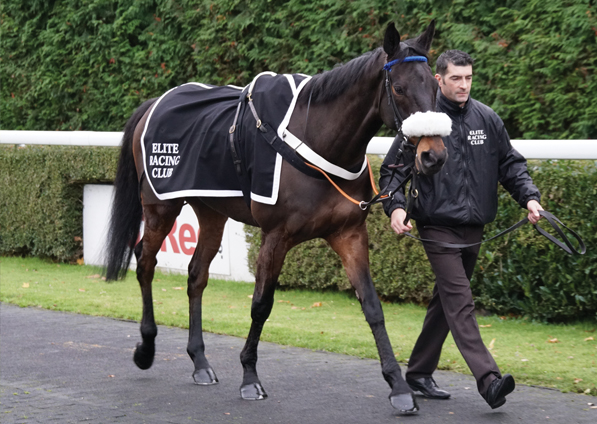  - Volcanic at Kempton - 27 November 2017