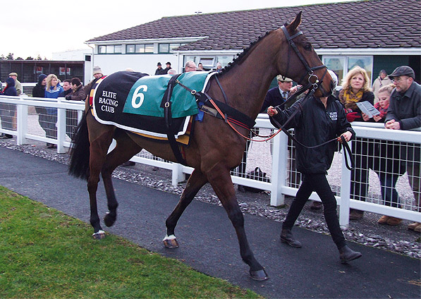  - Yabadabadoo at Exeter - 1 January 2013