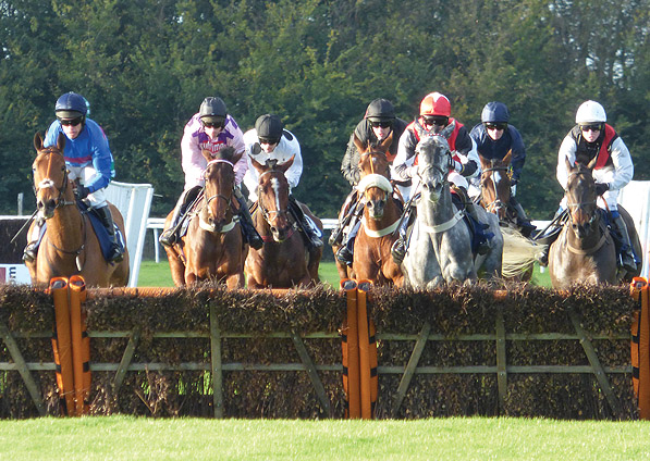  - Yabadabadoo at Huntingdon - 3 November 2013 - 2