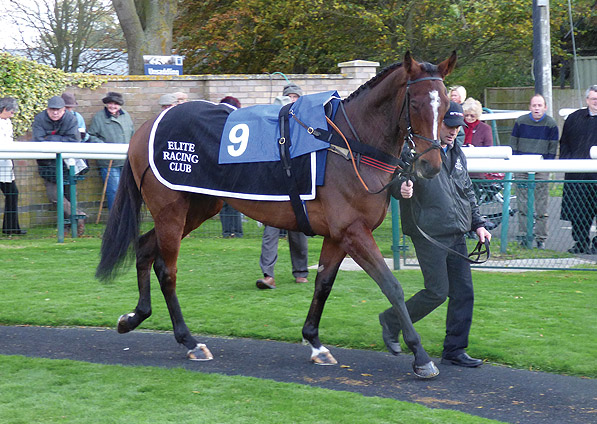  - Yabadabadoo at Huntingdon - 3 November 2013 - 3