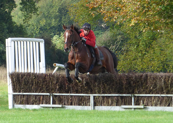  - Yabadabadoo schooling - 16 October 2014 - 1