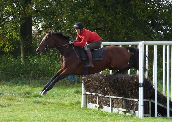  - Yabadabadoo schooling - 16 October 2014 - 2