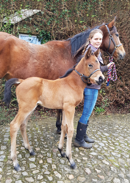  - Zoffany Filly ex Madison - 19 February 2020