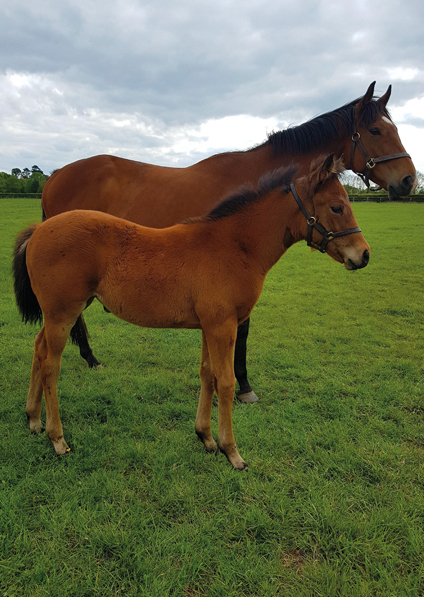  - Zoffany Filly ex Madison - 13 May 2020