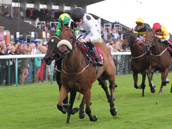  - Zapphire winning at Haydock - 12 August 2023