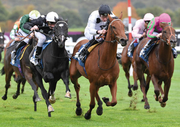  - Zest winning under Frederik Tylicki at Doncaster - 23 October 2015