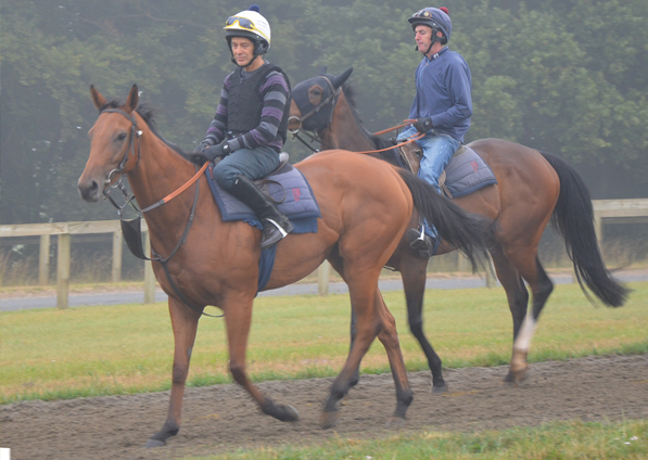  - Zest winning under Tom Queally at Nottingham - 28 July 2016