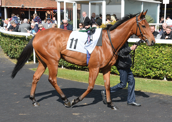  - Zest at Kempton - 15 April 2017