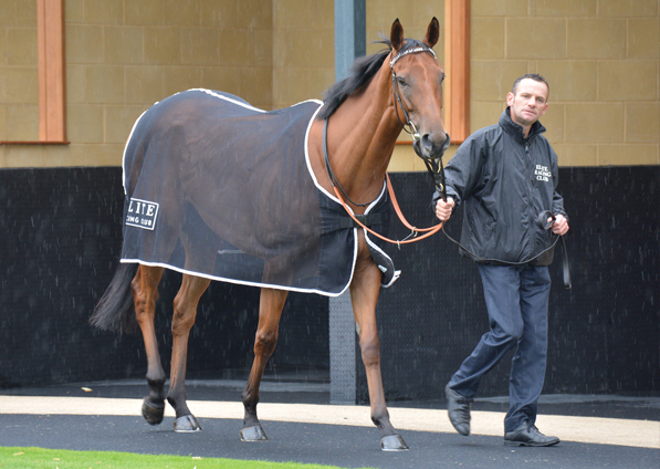  - Zest at Newbury - 22 July 2017