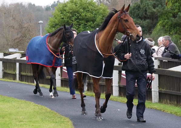  - Zest at Lingfield - 23 December 2017