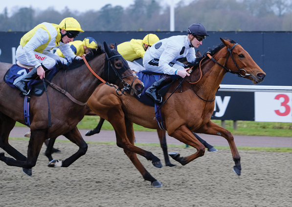  - Zest at Lingfield - 23 December 2017