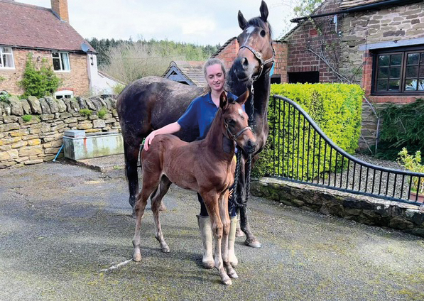  - Loretta and her Zoustar colt - 11 April 2024