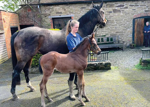  - Loretta and her Zoustar colt - 11 April 2024