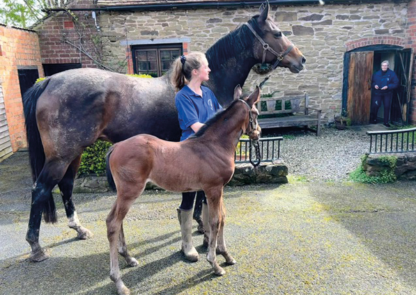  - Loretta and her Zoustar colt - 11 April 2024