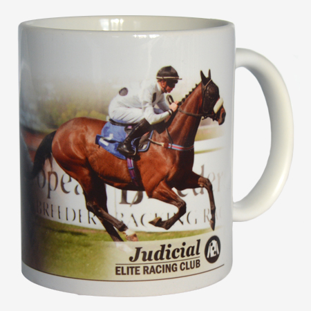 Judicial Mug