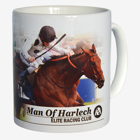Man Of Harlech Mug